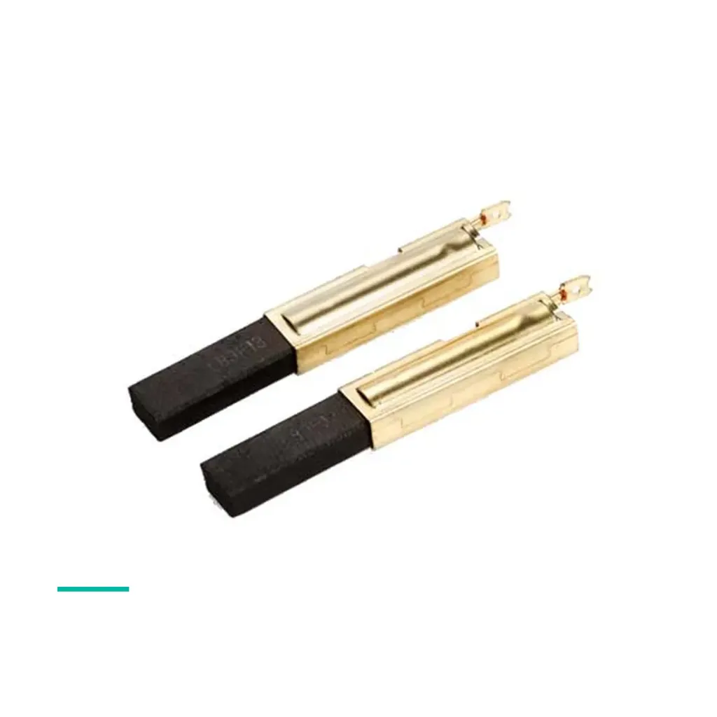 [ZU-CARB] Carbon brushes for Zubler Z1